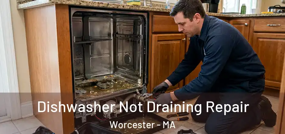 Dishwasher Not Draining Repair Worcester - MA