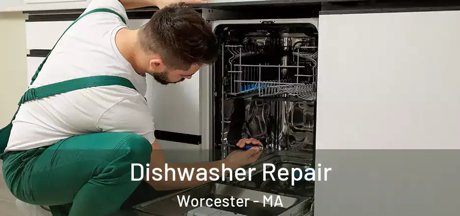  Dishwasher Repair Worcester - MA