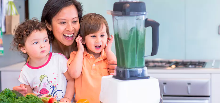 Juicer and Mixer Blender Repair in Worcester