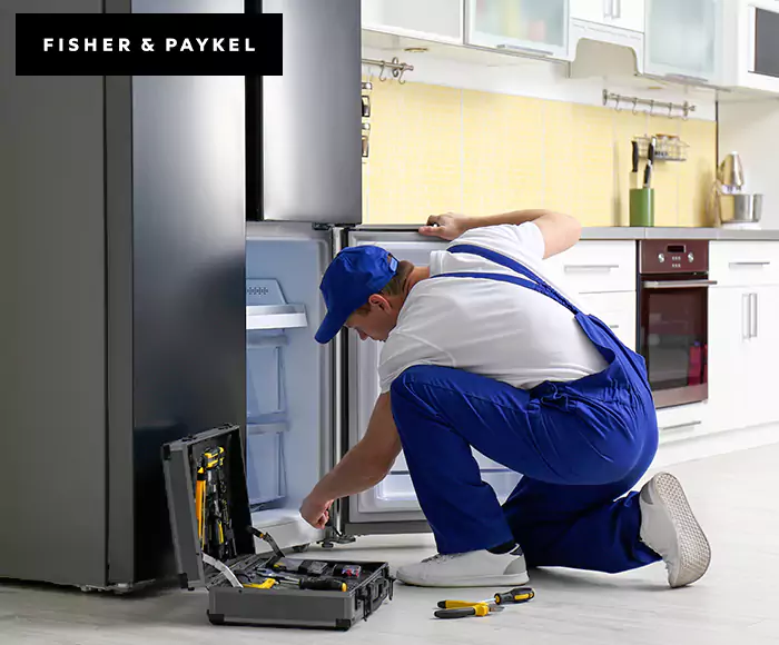 Top-Rated Fisher & Paykel Appliance Experts: Your Brand Specialist in Worcester, MA